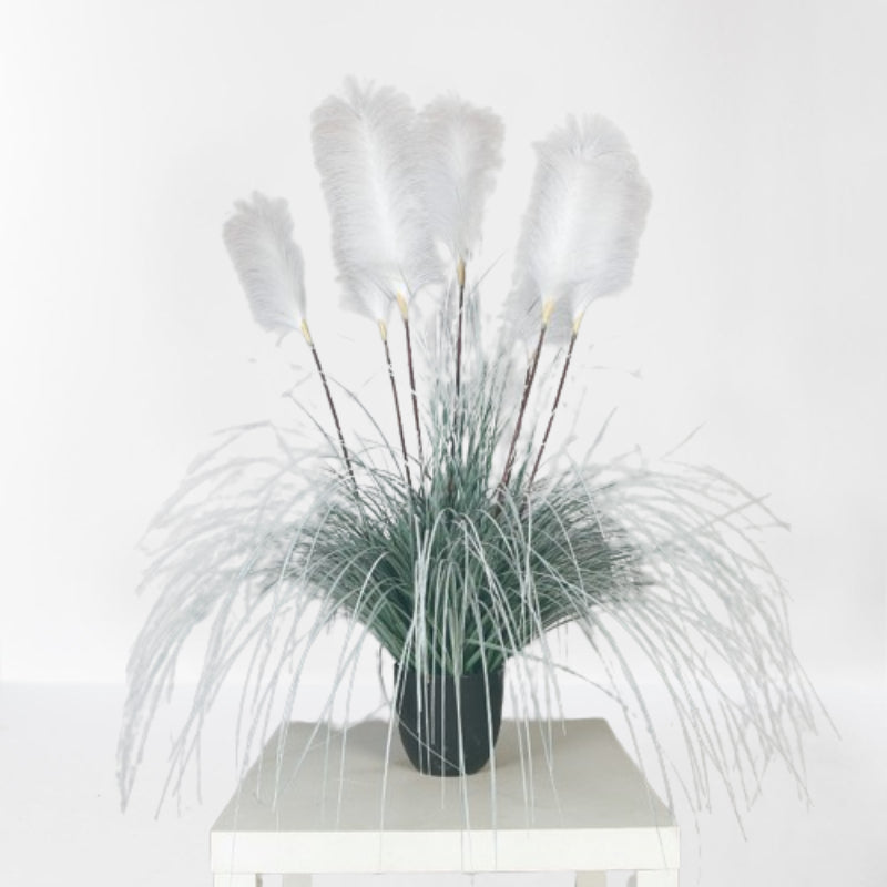 White Reed Plant