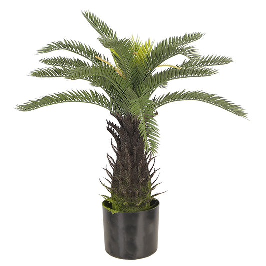 Realistic Artificial Cycas Tree