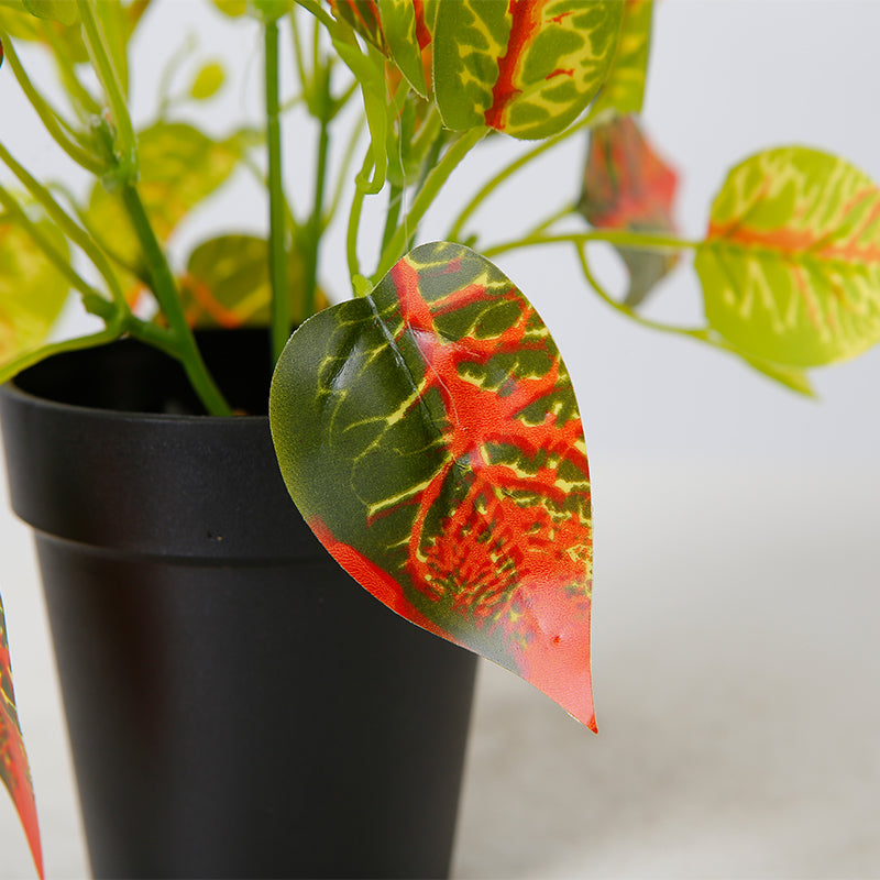 Leaf Bonsai Plant