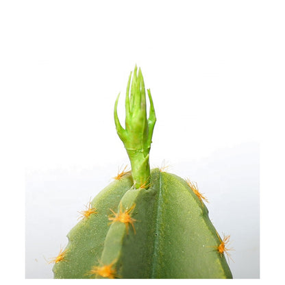 Pearl Cotton Artificial Cactus