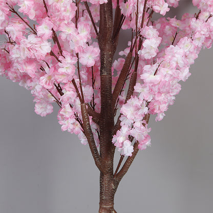 Cherry Blossom Tree