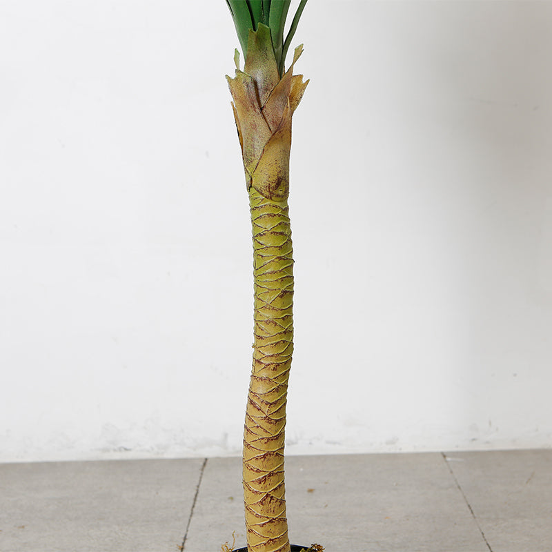 Dracaena Anita Faux Tree For Interior Design