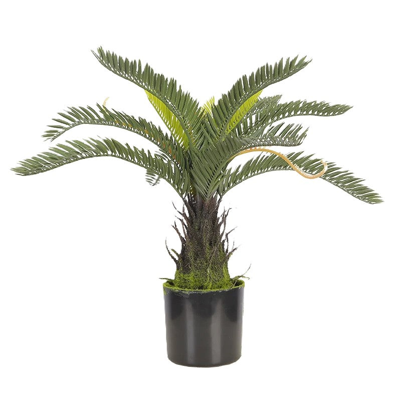 Small Artificial Cycas Plant