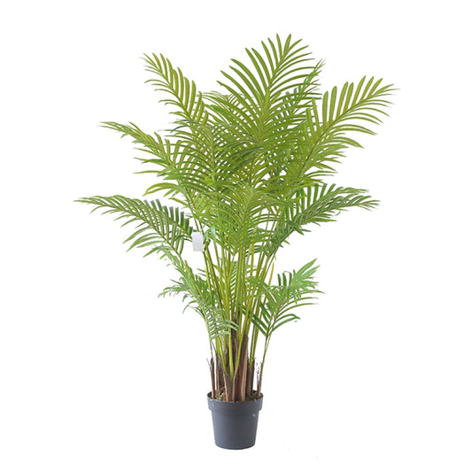 Hawaii Kwai Decorative Indoor Plant Tree