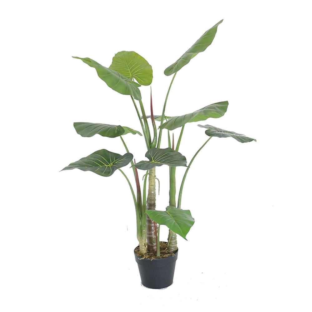 Artificial Alocasia Macrorrhizos Plant