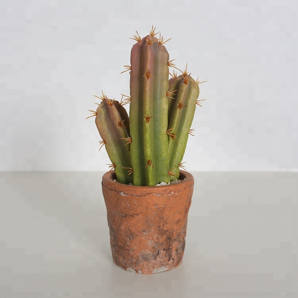 Realistic Looking Artificial Cactus Decor