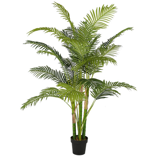 Eco Friendly Hawaii Plants