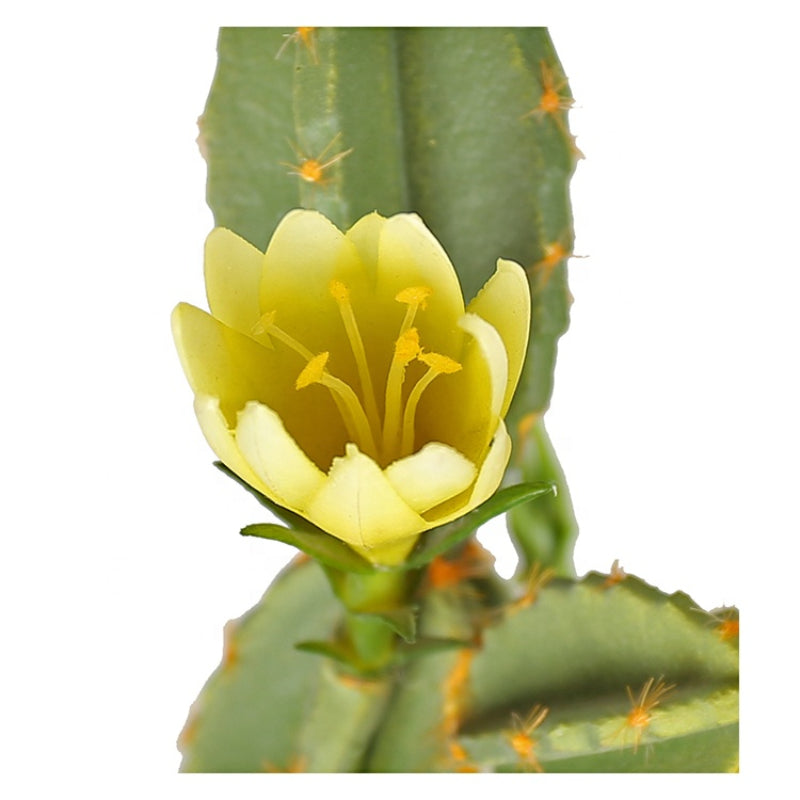 Pearl Cotton Artificial Cactus