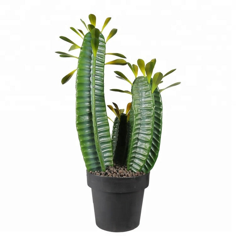 Sahara Desert Artificial Cactus Decor