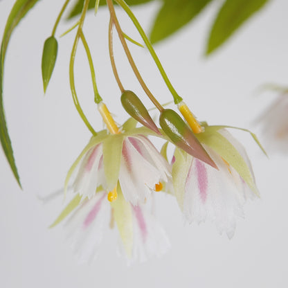 Artificial Hainan Elaeocarpus Tree