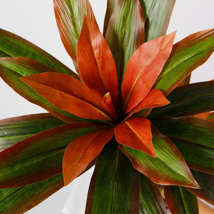 Artificial Dracaena Plant for Indoor Space