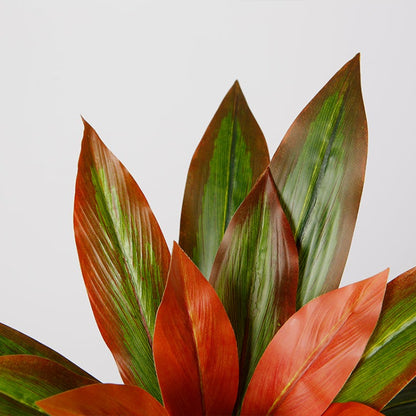 Artificial Dracaena Plant for Indoor Space