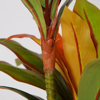 Artificial Dracaena Plant for Indoor Space