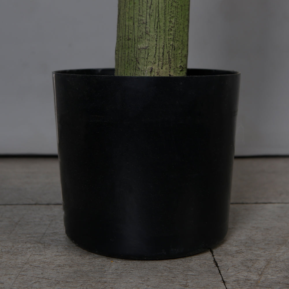 Artificial Indoor Banana Tree