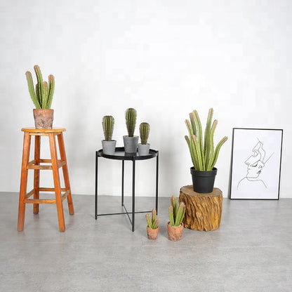 Realistic Looking Artificial Cactus Decor