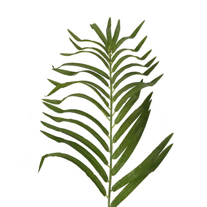 Artificial New Areca Tree