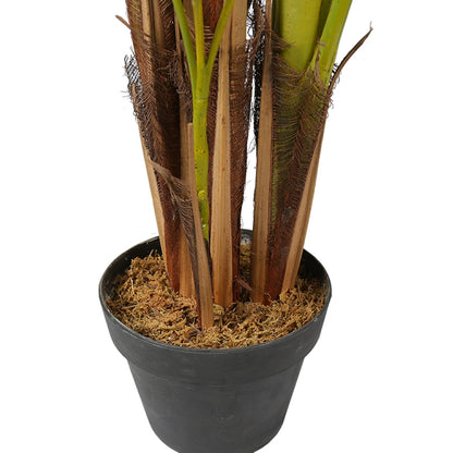 Golden Cane Natural Areca Plant