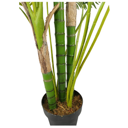 Eco Friendly Hawaii Plants