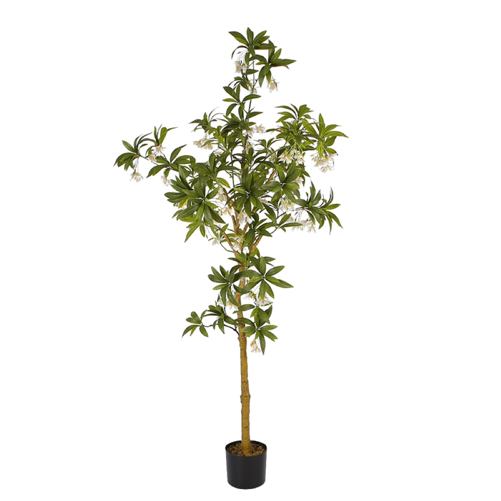 Artificial Hainan Elaeocarpus Tree