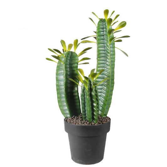 Sahara Desert Artificial Cactus Decor