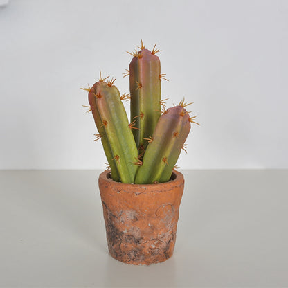 Realistic Looking Artificial Cactus Decor