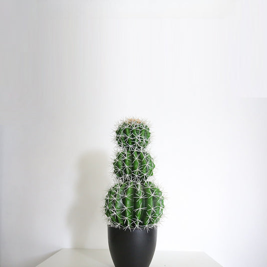 Artificial Succulent Cactus Plant