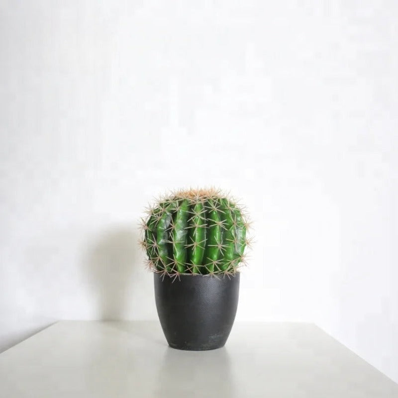 Artificial Echino Cactus Plant