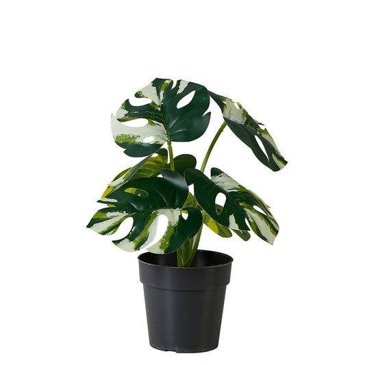 Miniature Artificial Monstera Plant