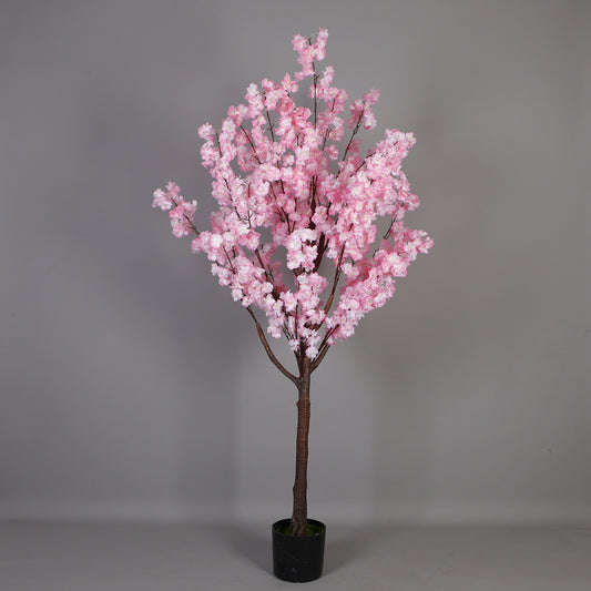 Cherry Blossom Tree