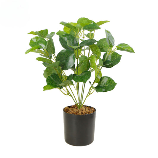 Plastic Desktop Foliage Plant