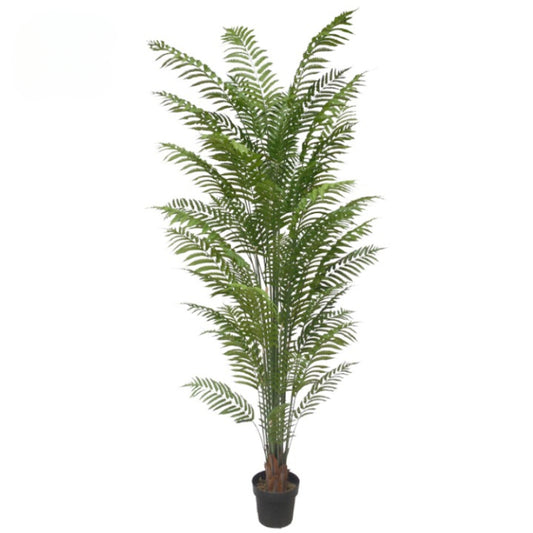 Artificial Fern For Indoor Spaces