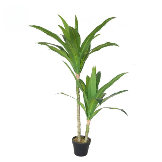 Artificial Evergreen Plastic Money Tree