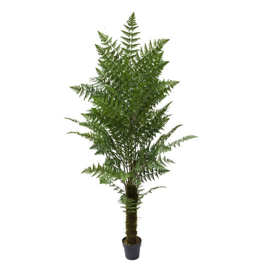 Artificial Fern Tree for Home