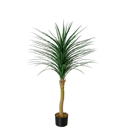 Dracaena Anita Faux Tree For Interior Design